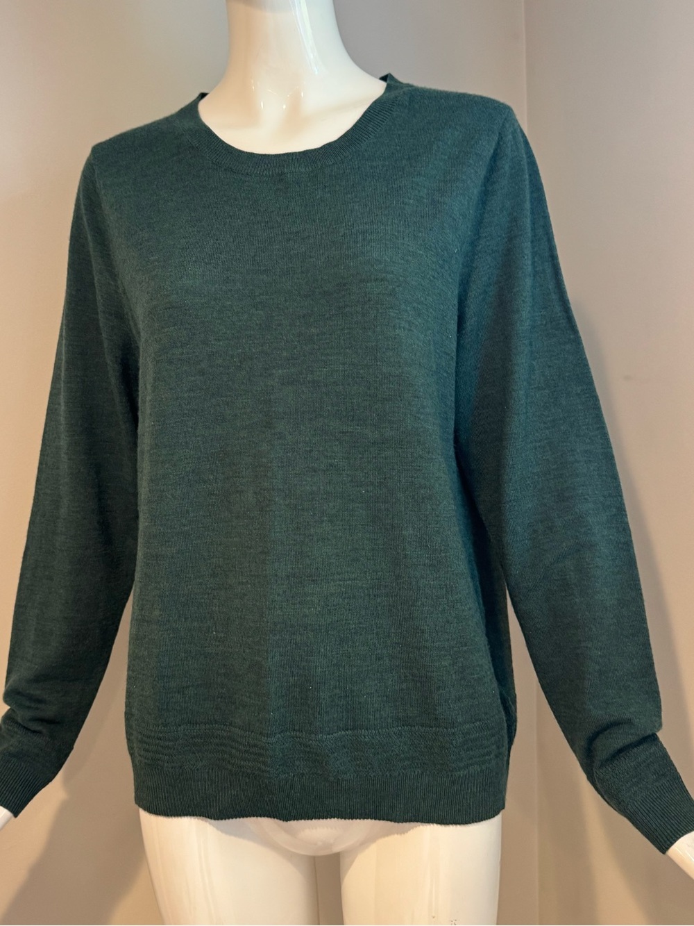 Max Studio 100% Extrafine Merino Wool Sweater Green XL